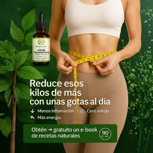 🌿CLOROFILA FIT 🌿Chupa la Panza y Limpia tu Organismo Desde Adentro